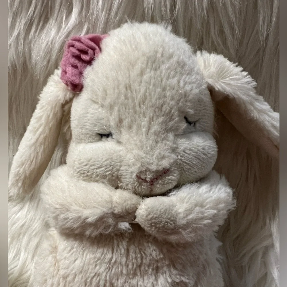 2019 Tickle & Main‎ Everybunny Prays Book and Plush Bunny video